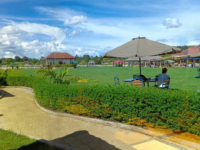 The Lobo Village