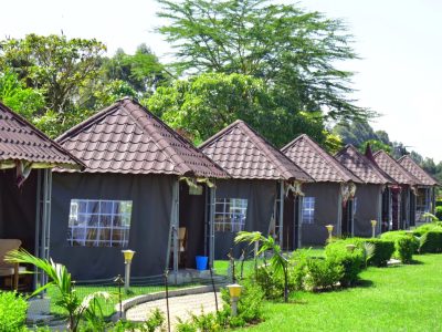 The Lobo Village