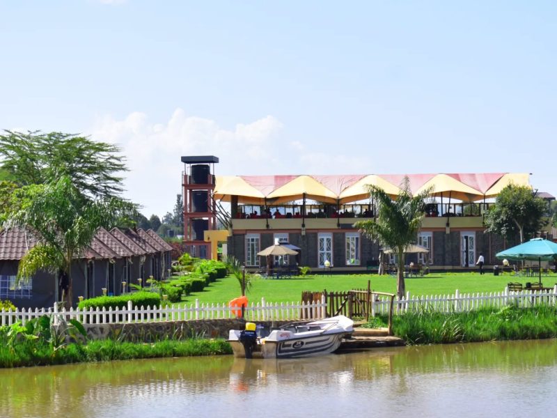 The Lobo Village