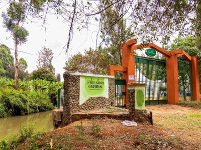 Olive Green Resort