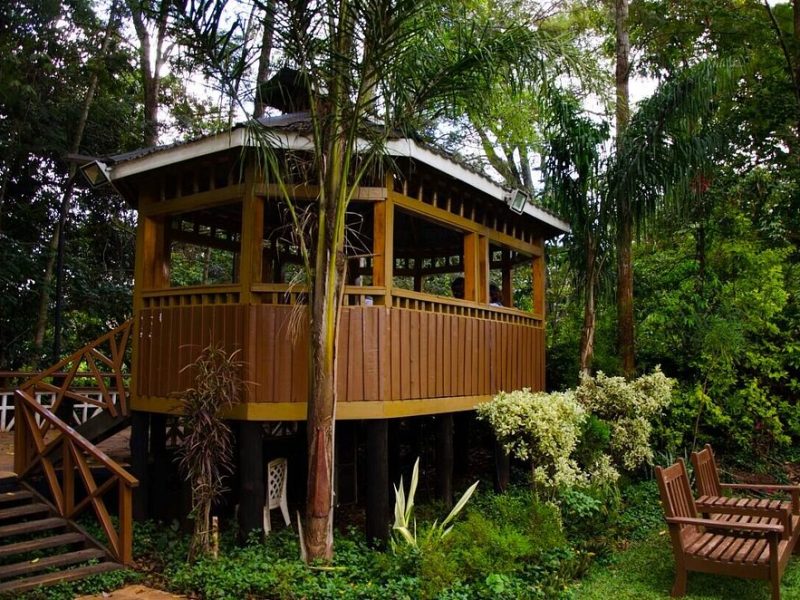 Edgewood Country Place