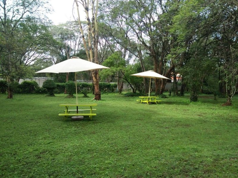Bogani Gardens