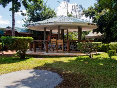 Northwood Gardens & Adventure Park