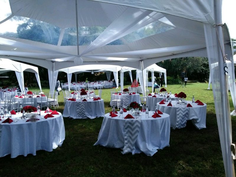 Bogani Gardens