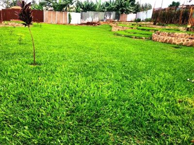 Nyokabi Gardens Nyeri