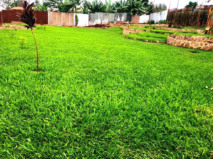 Nyokabi Gardens Nyeri
