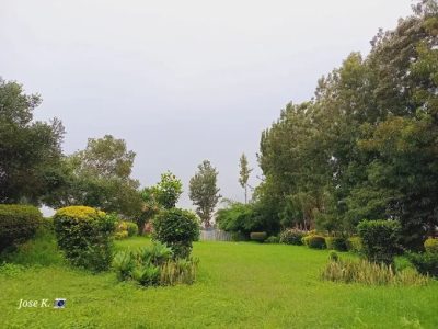 Nyokabi Gardens Nyeri